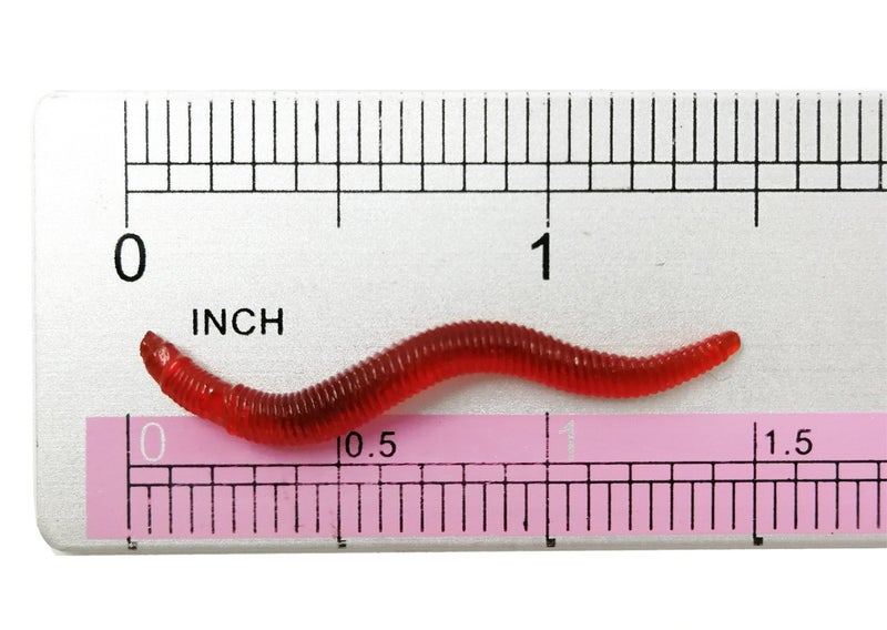 Milepetus Fishing Soft Lure Earthworm Bait Lifelike Fake Earthworm Grub Worm Soft Fishing Lure Baits,Various 1.6inch, Red (150pcs/box) - Image 2